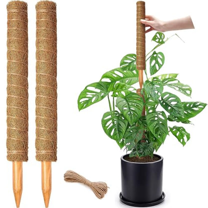 2 Pack 17 Inch Moss Pole, Stackable Moss Poles for Climbing Plants Monstera, Tall Plant Sticks Accessories, Large Coir Plant Support Stakes for Potted Plants Indoor, Pothos, Philodendron - size: 2 pack 17in