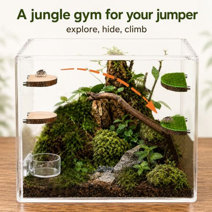 2 in 1 Jumping Spider Enclosure Accessories - Magnetic Feeding Dish with Jumping Wood Ledges | Acrylic Water Bowl Food Dish Habitat Decor for Tarantula Small Spider Reptile