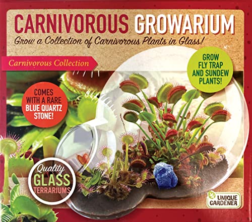 Grow Your Own Venus Fly Trap, Kids Garden Glass Terrarium Starting Kit to Sprout Flytrap and Sundew Plants, Includes Seed and Complete Terrarium Supplies for The Plant to Thrive - style: Carnivorous Growarium