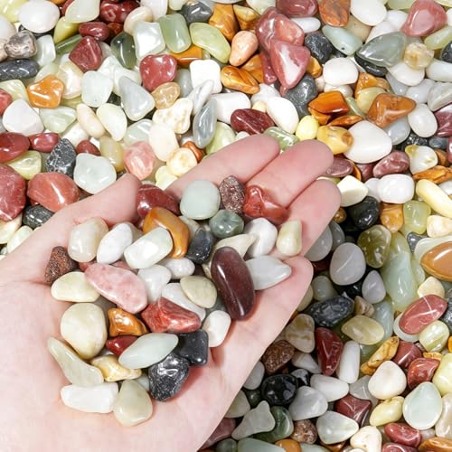 2.2 lbs Succulent Rocks,1/2 Inch Pebbles for Plants,Pebbles for Indoor Plants,Suitable for Vases, Cactus Potted Plants, Fish Tanks,Fountain - color: Mixed Color, size: 1/2 Inch 2.2 LB