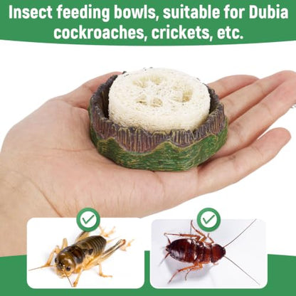 NQEUEPN Cockroach Water Basin & 3 Loofah, Reptile Container Supplies | Cockroach Water Basin with Luffa Set Durable Reptile Live Habitat Supplies for Crickets Springtails Isopods