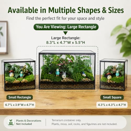 Glass Plant Terrarium with Lid, Rectangular Black Metal Frame Box for Indoor Plants, Clear Glass Container for Moss, Succulent, Fairy Garden, Tabletop Decor DIY Gift, 8.3”L x 4.7”W x 5.5”H - size: Large Rectangle