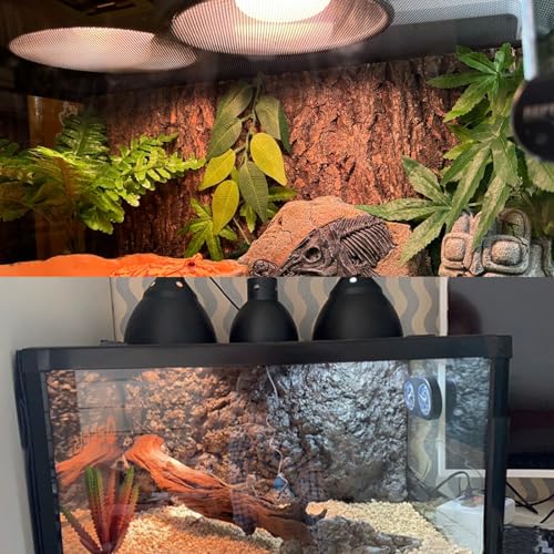 Large Caliber Reptile Lamp Cover Dome Supports Up to 250W, Diameter 7.0 Inch Heat Lamp/Light Fixture Dome Fit for E26 UVA/UVB Basking Bulbs, Perfectly Fit 250 watts Ceramic Heat Lamp - style: Cone Dome (Max 250W)