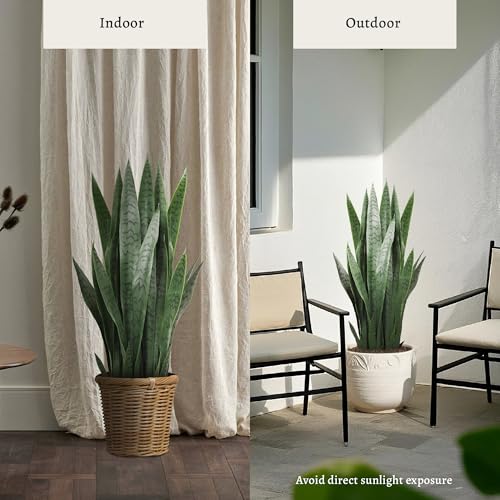 KOL 3FT Artificial Snake Plant, 35in Fake Sansevieria Indoor Outdoor | Full upright PE foliage; realistic faux Mother in Law Tongue look; modern greenery for living rooms, offices and entryways - size: 1 PC