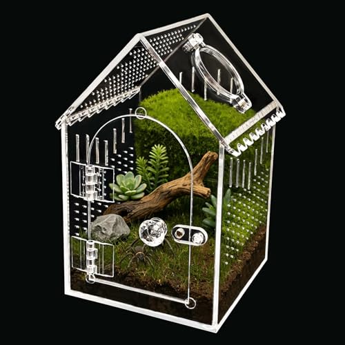 Acrylic Jumping Spider Enclosure, Multi-Purpose Small Insect Terrarium for Mantis, Tarantula, Gecko, Snail, Hermit Crab – Ideal as Critter Keeper, Breeding Box or Arboreal Pet Cage