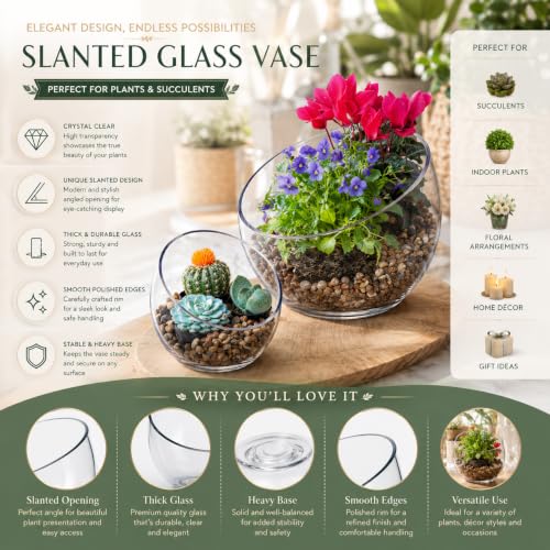 Slant Cut Bowl Glass, Glass Fish Bowl Vase, 6" Height x 7" Width Fruit Jar, Candy Dish, Clear Terraium, Flower Centerpiece - size: Slant Bubble Bowl : 6" Height x 7" Width