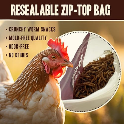 Pet Faves Dried Mealworms for Chickens, Birds, Hamster, Reptile and Turtle - Premium Non-GMO Treats with 55% Protein for Laying Hens - Organic Food for Wild Bird, Bluebirds, Robins, Cardinals. 5 Lb - size: 5 Pound (Pack of 1)