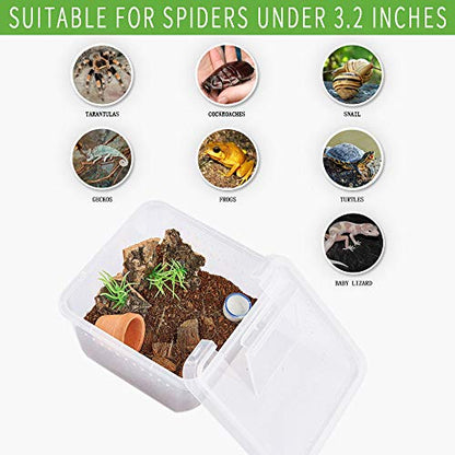 Critter Keeper，Mini Insect Carrier, Portable, Ventilated, Enough Viewing Space, with 5 Accessories, Suitable for Spiders, Geckos, Cockroaches, Snails, Hermit Crabs（Flowerpot）