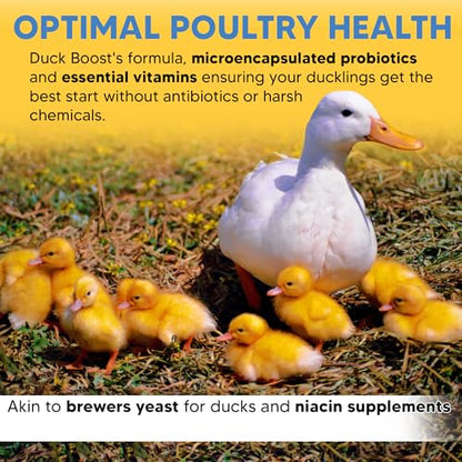 Duck Boost Probiotic - Probiotics, Vitamins, Minerals and Electrolytes for Chickens | Duck Vitamins and Supplements for All Poultry - 3oz - size: 3oz