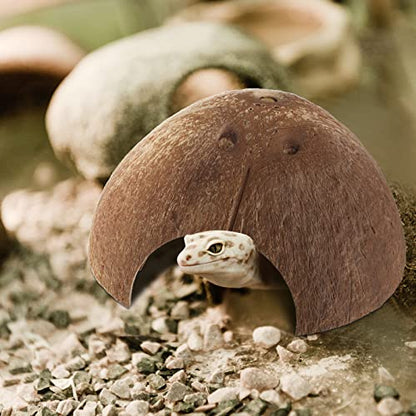 Woanger 6 Pcs Natural Coconut Reptile Hideouts, Coco Hut Hide Toys for Lizards, Geckos, Hermit Crabs, Snakes, Tarantulas, Small Reptile Habitat Decoration Supplies