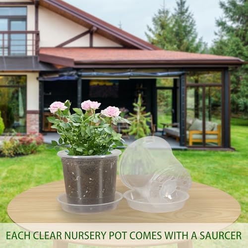 20 Pack 3 Inch Clear Nursery Pots with Drainage and 20 Pack Plant Saucers, Plant Pots for Plants Transparent Potting Containers for Plants Seeding Starter Pot (Clear, 3 Inch) - size: 3 Inch