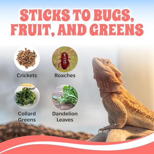 Bee Pollen Powder for Reptiles – Natural Appetite Booster & Vitamin Supplement – Dusting Powder for Feeder Insects & Salads – All-Natural Reptile Food Topper – 2.5 oz