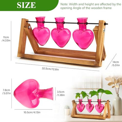 XXXFLOWER Plant Terrarium Propagation Stations 3 Heart Shaped Vases | Unique Terrarium Jar Gifts for Women Wife Mom Plant Lovers, Hydroponics, Home Garden Office Decor - size: 3 Heart Vase