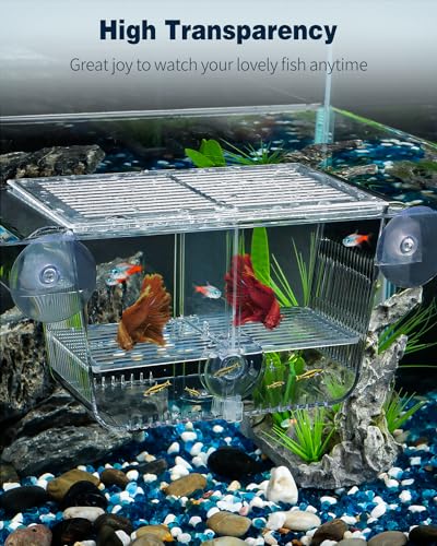 Pawfly Aquarium Fish Breeding Box, Fish Tank Hatchery Incubator with 6 Suction Cups Acrylic Hatching Box for Baby Fish Shrimp Betta Medium Acclimation Isolation Box