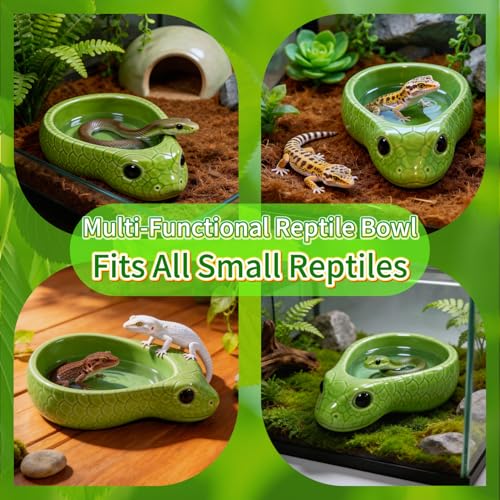 Reptile Water Dish, Ceramic Snake Water Bowl for Snake, Leopard Gecko, Bearded Dragon and Lizard, Reptile Bathing Pool Food Feeding Dish, Terrarium Tank Accessories (Cyan) - color: Cyan