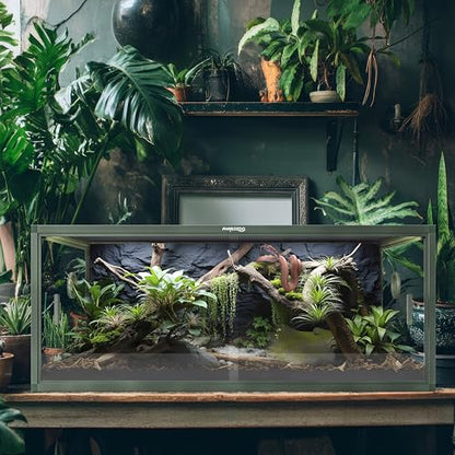 Lightweight 85 Gallon Reptile Enclosure for Snake, Bearded Dragon | Optimal Ventilation & Light Penetration by Rust Proof Mesh Top, Easy Assembly within 6 Steps with Clear Instruction - color: Earthy Green, size: 85 Gallon