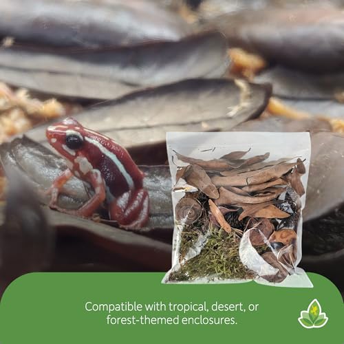 Josh's Frogs EcoScape Assorted Décor Pack (Small)