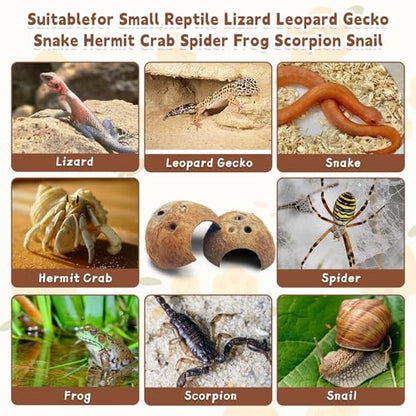 PINVNBY Natural Coconut Reptile Hideouts Lizard, Coco Hut Hermit Crab Hut Aquarium Fish Hide Cave for Small Reptile Crested Gecko Leopard Gecko Spider Snail Climber Toys (2 PCS Natural Surface) - size: 2 PCS Natural Surface