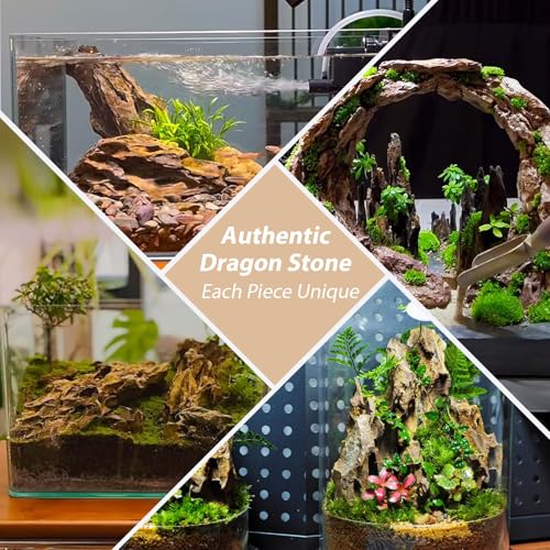 Dragon Rocks Aquariums Stones Natural Rocks for Aquascaping, Aquariums, Terrariums, Vivariums Decorative Stone,Reptile Enclosures,Paludariums,and Gardens-10lb（2 to 7 inch） - size: 10Lb (2-7 inch)