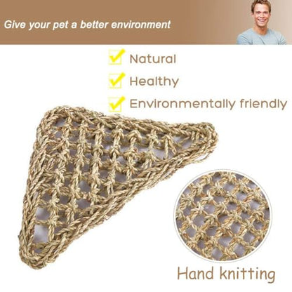 PIVBY Bearded Dragon Hammock（11.02" x 7.87", 2 PC） Reptile Lounger Climbing Toys Seagrass Fiber Habitat Tank Accessories for Chameleon, Lizards, Geckos, Snakes, Lguana, Amphibian Reptiles Habitats - size: 2 PCS