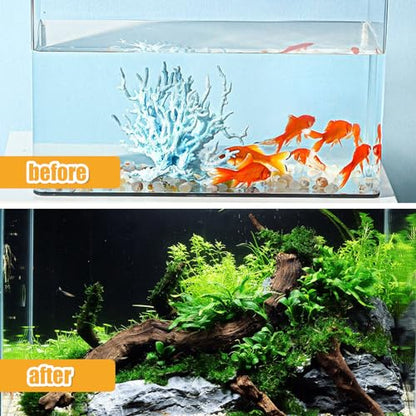 Aquarium Driftwood Natural Trunk Driftwood Assorted Branches 3.9-5.9" Assorted Trunk Terrarium Ornament(5 Pcs)