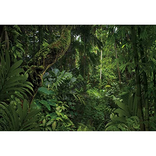 12x8ft Jungle Forest Photography Backdrop for Outdoorsy Camping Theme Party Background Spring Mysterious Rainforest Jungle Forest Tree Natural Scenery Kids Adult Wedding Photo Studio Props - size: 12x8ft