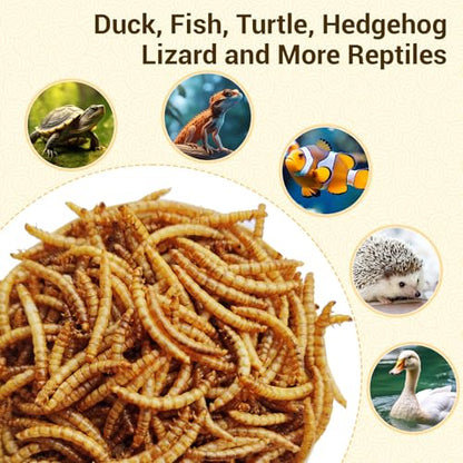 5lbs Dried Mealworms for Chickens Duck High Protein Birds Treat | Hand Inspected Poultry Feed, Wild Birds and Chicken Treats, Laying Hens & Bluebirds Food, Worms Fed a Clean Natural Diet - size: 80 Fl Oz (Pack of 1), style: Mealworms