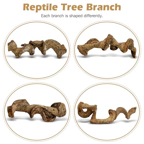 Reptile Climbing Decor 2 Pack Thick Wood Branches Snake Habitat Decorations Terrarium Wooden Tree Trunk Ornament for Bearded Dragon Lizard Snake Geckos Chameleon Frog - size: 14-16 inches