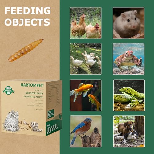 1LB Non-GMO Dried Black Soldier Fly Larvae for Chickens, Superior Calcium Boost, Better Than Dried Mealworms, Poultry Feed Ideal for Molting & Laying Hens, Wild Birds, Ducks | Top Grade BSF - size: 1 Pound (Pack of 1)