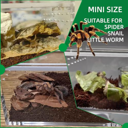 Small Acrylic Reptile Enclosure, No Assembly Small Reptile Breeding Box for Insect Tarantula Hermit Crab Jumping Spider (4x3.3X2.5 in) - size: 4x3.3X2.5 in
