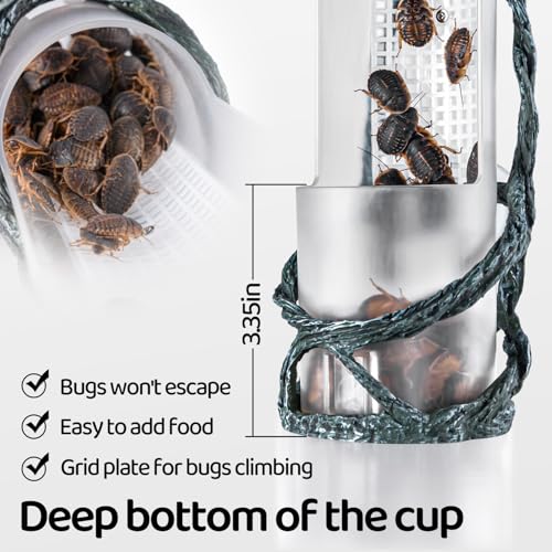 Chameleon Feeding Bowl, Resin Vine Reptile Feeder with Grid Plate for Insect to Climb and Move, Reptile Hunting Bowl with Suction Cup for Chameleon, Lizard, Bearded Dragons, Iguana, Gecko, Frog