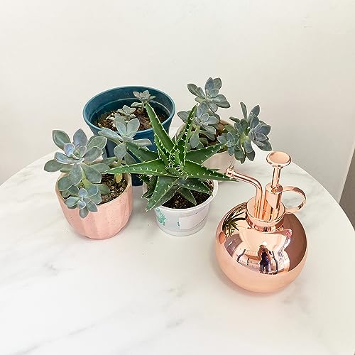 Stainless Steel Plant Sprayer, Small Watering Can Plant Misting Bottle, Modern Gardening Tools for Indoor Potted Plants Watering and Misting - color: 17oz/ Rose Gold