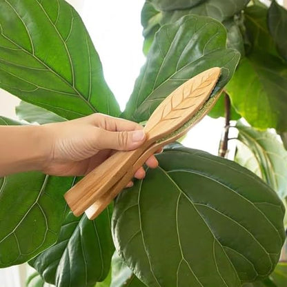 Leaf Cleaning Tongs, House Plant Leaf Cleaning Tongs,Leaf Cleaning Tools With Removable (1PC) - color: 1pc