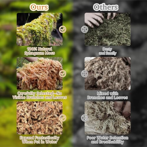 Riare 14oz Natural Sphagnum Moss for Reptiles- Terrarium Reptiles Moss | 20QT High Expansion, Moisture Retention, Long Fiber Dried Moss Bedding for Lepard Gecko Snakes Turtles Frogs Spiders - color: 14 OZ