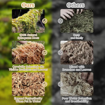 Riare 14oz Natural Sphagnum Moss for Reptiles- Terrarium Reptiles Moss | 20QT High Expansion, Moisture Retention, Long Fiber Dried Moss Bedding for Lepard Gecko Snakes Turtles Frogs Spiders - color: 14 OZ