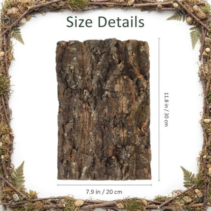 DOITOOL 2 PCS Natural Cork Bark Background, 11.8" x 7.9" Reptile Tree Bark Reptile Hides for Tank Backdrop Climbing Wall Terrarium Decor Accessories for Bearded Dragon Lizard Geckos Tortoise