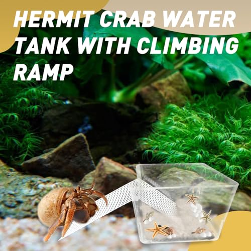 4 Packs Hermit Crab Water Tank - Ideal Hermit Crab Pool Combination - Water Tank with Cuttable Climbing Ramp - size: Small*4