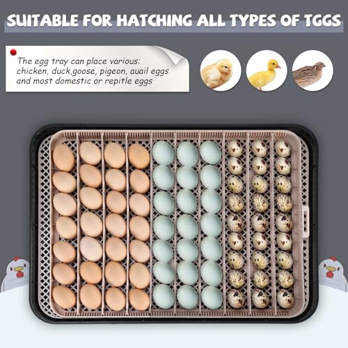 Sailnovo Incubators for Hatching Eggs 70 Egg Incubator with Automatic Egg Turning and Auto Humidification, Temperature Control, Incubator for Chicken Duck Quail Eggs, Perfect for Lab School Farm Use