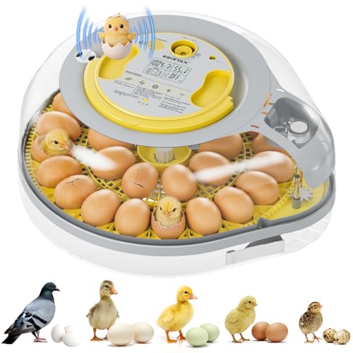 IBKINXX 26 Egg Incubator for Hatching Eggs - Smart Voice Guidance | 360° View with Automatic Temp & Humidity Control, Auto Egg Turning & Built-in Egg Candler for Chicken, Duck, & Quail