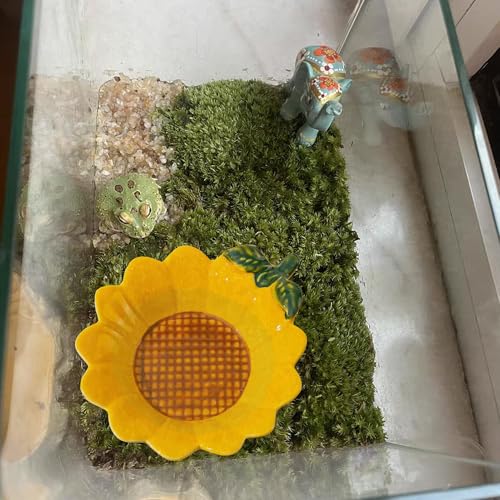 JSLZF Tree Frog Habitat Frog Water Bowl Dish Bathtub Tank Accessories Terrarium Decor Ceramic Aquarium Decoration Sturdy and Not Easy to Knock Over