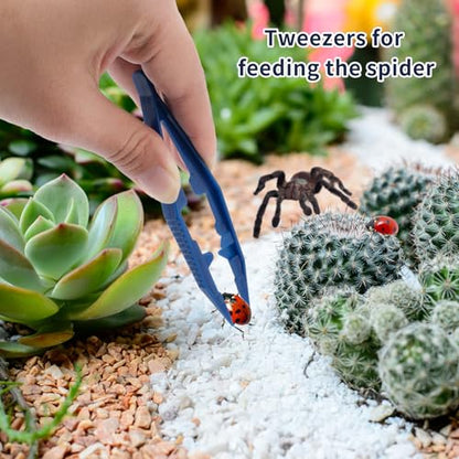5-Piece Jumping Spider Care Kit with Spray Bottle, Tweezers and Brushes | Soft Scratch-Free Tools Simplify Feeding, Misting and Habitat Maintenance for Beginners and Small Arthropod Keepers