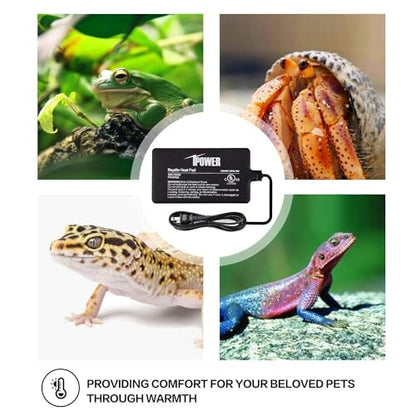 iPower 4x7 Inch Reptile Heat Pad Under Tank Heater, Energy-Efficient & Waterproof Design Terrarium Warmer Mat for Turtles, Lizards, Snakes, 2 Pack - size: 4 X 7 Inch, style: 2 Pack Heat Pad