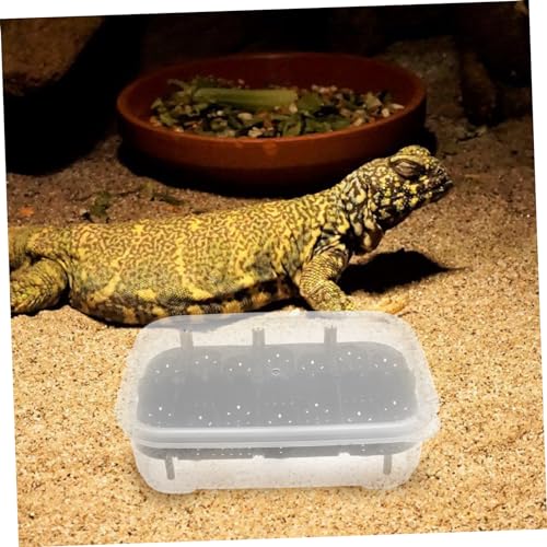 Professional Reptile Egg Incubator Box Compartments Transparent Cover and Premium for Snakes Lizards and Turtles Hatching for Pet Breeders