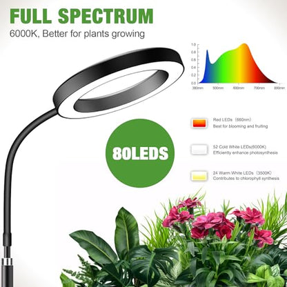 Grow Lights for Indoor Plants, 80 LEDs, Height Adjustable 16.5-25" | Full Spectrum, Auto Timer 6H/12H/16H, 5 Dimmable Levels, Flexible Gooseneck 6000K, Desk Plant Light with Base - size: 6.3''Head（Height 25'')