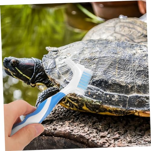 2pcs Bristles Double-Sided Brush Turtle Shell Clean Brush for Reptile Multi-Functional Home Cleaning Tool