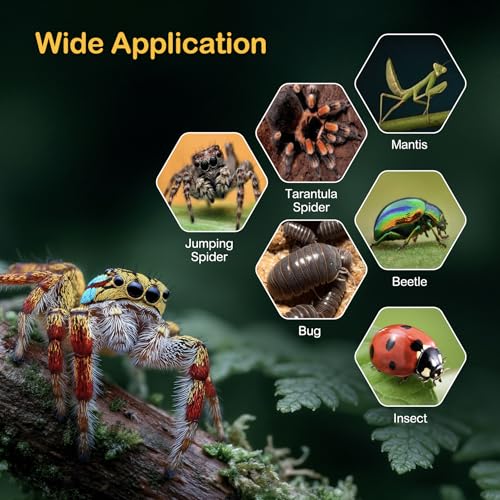 Jumping Spider Enclosure Starter Kit,Escape Proof Ocean Terrarium | Praying Mantis Terrariums,Transparent Acrylic Complete Bug Habitat,All In One Arboreal Tarantula Cribs Cage,Insect Container - color: Blue, size: Small