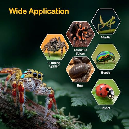 Jumping Spider Enclosure Starter Kit,Escape Proof Ocean Terrarium | Praying Mantis Terrariums,Transparent Acrylic Complete Bug Habitat,All In One Arboreal Tarantula Cribs Cage,Insect Container - color: Blue, size: Small