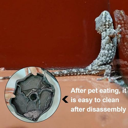 Automatic Reptile Water Feeder, Turtle Food and Water Bowl, Tortoise Water Bottle, Water Dispenser for Snake Bearded Dragon Lizard and Chameleon