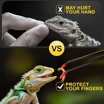 2 Pcs Reptile Feeding Tongs – Stainless Steel Aquarium Tweezers with Rubber Tips, Straight & Curved Long Handle for Bearded Dragons, Lizards, Snakes, Spiders & Terrarium Feeding