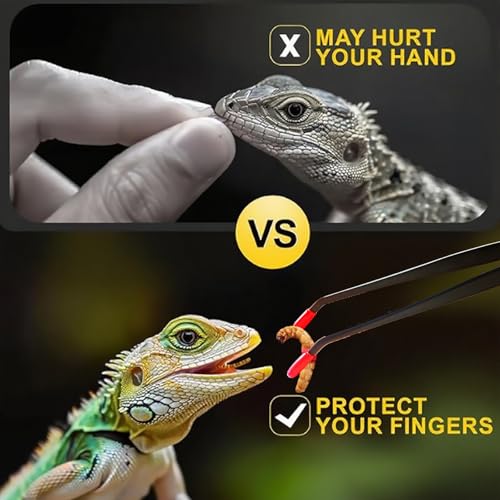2 Pcs Reptile Feeding Tongs – Stainless Steel Aquarium Tweezers with Rubber Tips, Straight & Curved Long Handle for Bearded Dragons, Lizards, Snakes, Spiders & Terrarium Feeding